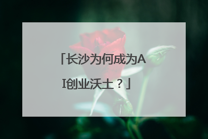 长沙为何成为AI创业沃土？
