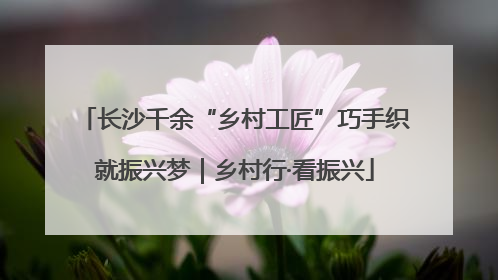 长沙千余“乡村工匠”巧手织就振兴梦｜乡村行·看振兴