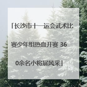 长沙市十一运会武术比赛少年组热血开赛 360余名小将展风采
