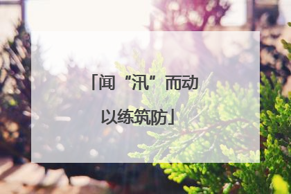 闻“汛”而动 以练筑防