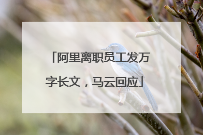 阿里离职员工发万字长文，马云回应