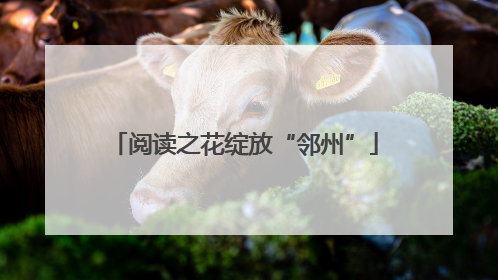 阅读之花绽放“邻州”