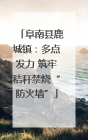 阜南县鹿城镇：多点发力 筑牢秸秆禁烧“防火墙”