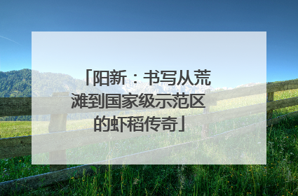 阳新：书写从荒滩到国家级示范区的虾稻传奇