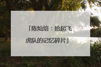 陈灿培：拾起飞虎队的记忆碎片