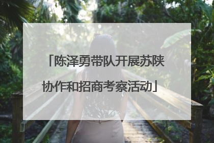 陈泽勇带队开展苏陕协作和招商考察活动