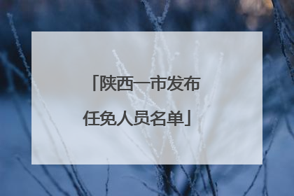 陕西一市发布任免人员名单