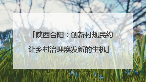 陕西合阳：创新村规民约让乡村治理焕发新的生机