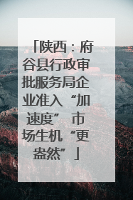 陕西：府谷县行政审批服务局企业准入“加速度” 市场生机“更盎然”