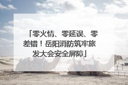 零火情、零延误、零差错！岳阳消防筑牢旅发大会安全屏障