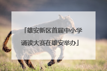 雄安新区首届中小学诵读大赛在雄安举办