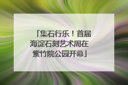 集石行乐！首届海淀石刻艺术周在紫竹院公园开幕