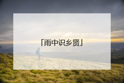 雨中识乡贤