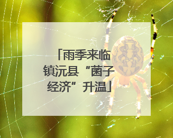 雨季来临 镇沅县“菌子经济”升温
