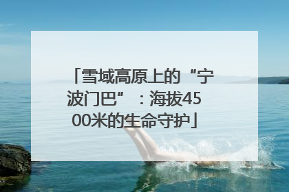 雪域高原上的“宁波门巴”：海拔4500米的生命守护