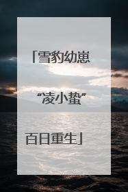 雪豹幼崽“凌小蛰”百日重生