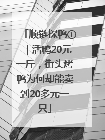 顺链探鸭①｜活鸭20元一斤，街头烤鸭为何却能卖到20多元一只
