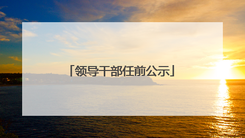 领导干部任前公示