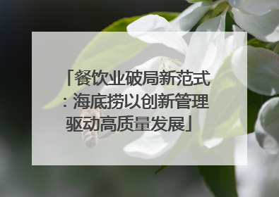 餐饮业破局新范式：海底捞以创新管理驱动高质量发展
