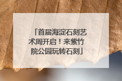 首届海淀石刻艺术周开启！来紫竹院公园玩转石刻