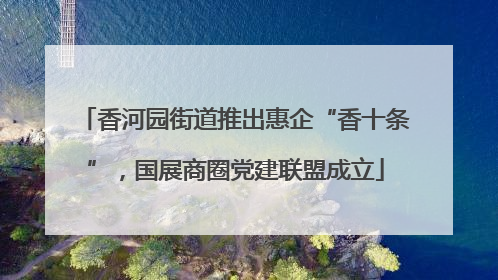 香河园街道推出惠企“香十条”，国展商圈党建联盟成立