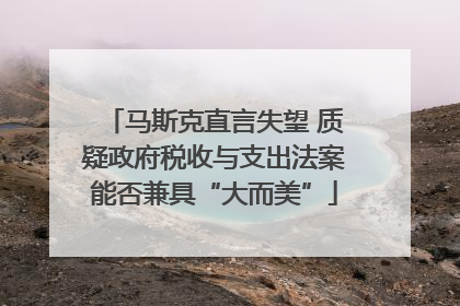 马斯克直言失望 质疑政府税收与支出法案能否兼具“大而美”