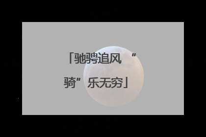 驰骋追风 “骑”乐无穷