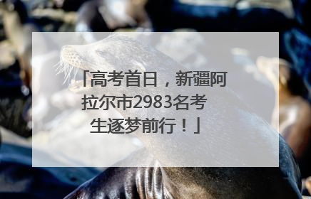 高考首日，新疆阿拉尔市2983名考生逐梦前行！