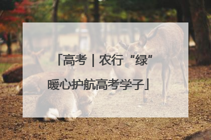 高考｜农行“绿”暖心护航高考学子