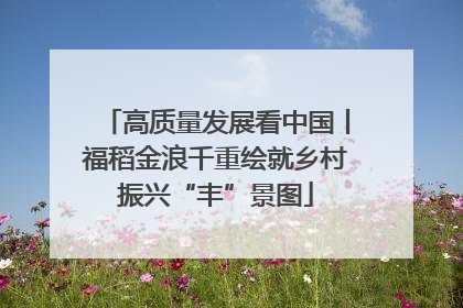 高质量发展看中国丨福稻金浪千重绘就乡村振兴“丰”景图