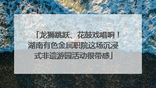 龙狮跳跃、花鼓戏唱响！湖南有色金属职院这场沉浸式非遗游园活动很带感