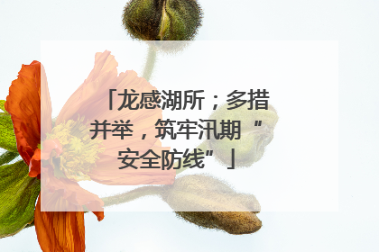 龙感湖所；多措并举，筑牢汛期“安全防线”