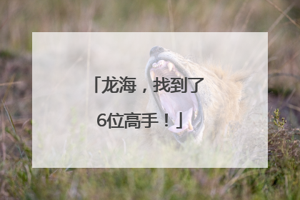 龙海，找到了6位高手！