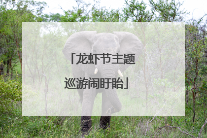 龙虾节主题巡游闹盱眙