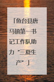 鱼台县唐马镇第一书记工作队助力“三夏生产”