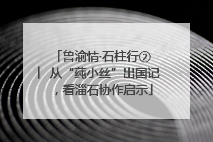 鲁渝情·石柱行② ︳从“莼小丝”出国记，看淄石协作启示