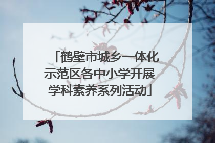 鹤壁市城乡一体化示范区各中小学开展学科素养系列活动