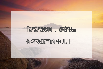 鹮鹮我啊，多的是你不知道的事儿