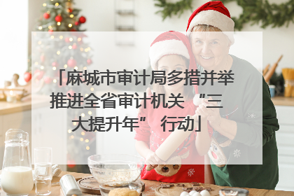 麻城市审计局多措并举推进全省审计机关 “三大提升年” 行动