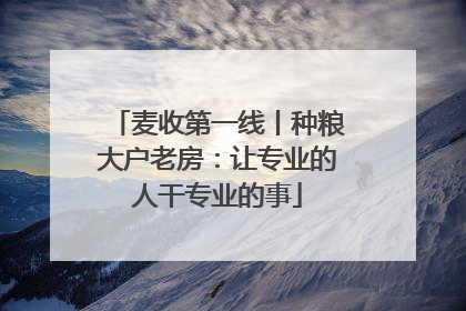 麦收第一线丨种粮大户老房：让专业的人干专业的事