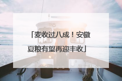 麦收过八成！安徽夏粮有望再迎丰收