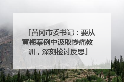 黄冈市委书记：要从黄梅案例中汲取惨痛教训，深刻检讨反思