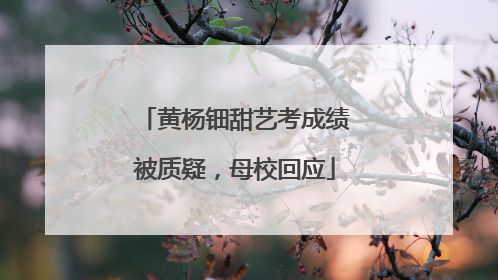 黄杨钿甜艺考成绩被质疑，母校回应