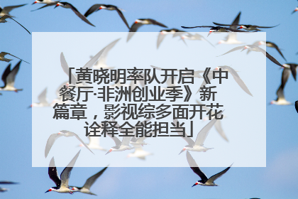黄晓明率队开启《中餐厅·非洲创业季》新篇章，影视综多面开花诠释全能担当