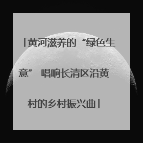 黄河滋养的“绿色生意” 唱响长清区沿黄村的乡村振兴曲