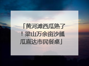 黄河滩西瓜熟了！梁山万余亩沙瓤瓜直达市民餐桌