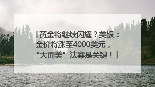 黄金将继续闪耀？美银：金价将涨至4000美元，“大而美”法案是关键！