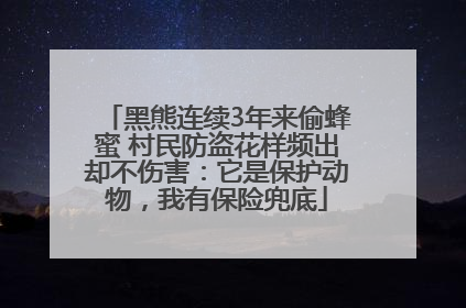 黑熊连续3年来偷蜂蜜 村民防盗花样频出却不伤害：它是保护动物，我有保险兜底