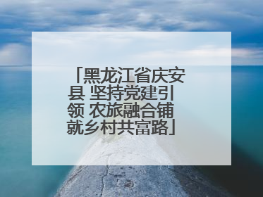 黑龙江省庆安县 坚持党建引领 农旅融合铺就乡村共富路