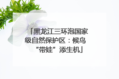 黑龙江三环泡国家级自然保护区：候鸟“带娃”添生机